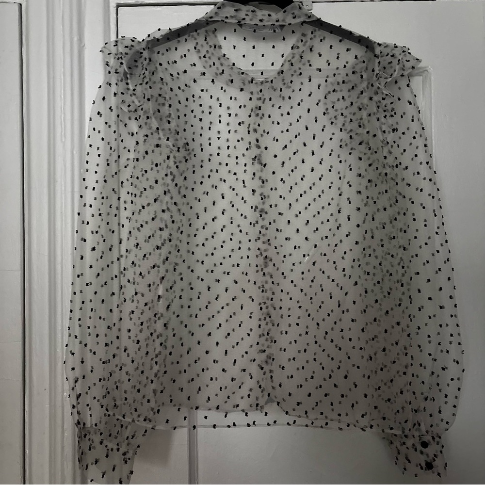 Sheer Polka Dot Ruffle Blouse - Picture 3 of 3